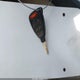 2C3AA63H55H607489 2005 Chrysler 300C auction photo thumbnail 11