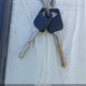 1FALP42T5SF171355 1995 Ford Mustang Gt/Gts auction photo thumbnail 11