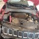 3C4NJDCB5LT238828 2020 Jeep Compass Limited 4X4 auction photo thumbnail 10