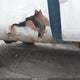 1FTZX1726XNB89363 1999 Ford F-150 Work Series/Xl/Xlt auction photo thumbnail 6