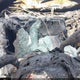 1FT8W2BN2RED65575 2024 Ford F-250 Xlt auction photo thumbnail 6
