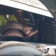 5XYRKDJF8SG333491 2025 Kia Sorento X-Line Sx Prestige auction photo thumbnail 7