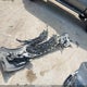 1G1ZD5ST3NF170866 2022 Chevrolet Malibu Fwd Lt auction photo thumbnail 12