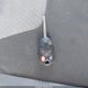 1FAHP3F24CL465706 2012 Ford Focus Se auction photo thumbnail 11