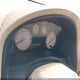 1FMZK03106GA45246 2006 Ford Freestyle Limited auction photo thumbnail 7