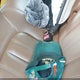 1G4PS5SKXC4214412 2012 Buick Verano Leather Group auction photo thumbnail 11