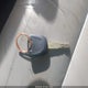 5FNYF4H51AB037960 2010 Honda Pilot Ex-L auction photo thumbnail 11