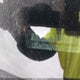 1ZVHT80N795126826 2009 Ford Mustang V6/V6 Premium auction photo thumbnail 11