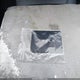5YJ3E1EA8NF204527 2022 Tesla Model 3 Rear-Wheel Drive auction photo thumbnail 11