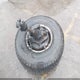 1GCHK54699F133620 2009 Chevrolet Silverado 2500Hd Lt auction photo thumbnail 13
