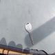 2B4GP2531YR812219 2000 Dodge Caravan auction photo thumbnail 11