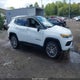 3C4NJDCB4NT111538 2022 Jeep Compass Limited 4X4 auction photo thumbnail 13