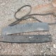 1FTYE2CM6GKB48604 2016 Ford Transit-150 auction photo thumbnail 12