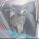 5NPDH4AE4GH709863 2016 Hyundai Elantra Se auction photo thumbnail 8