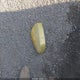JF2GTACC1PG251209 2023 Subaru Crosstrek Premium auction photo thumbnail 12