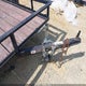 4YMBU0818JG074380 2018 Carry On 8' Utility Trailer auction photo thumbnail 18
