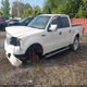 1FTRW14538FA80453 2008 Ford F-150 Harley-Davidson/Limited auction photo thumbnail 2