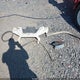 3NSNEE997RF040983 2024 Polaris Rzr Xp 1000 Sport auction photo thumbnail 11