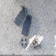1FTYR10C3XUA08685 1999 Ford Ranger Xl/Xlt auction photo thumbnail 12
