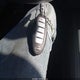 1N4BL4DW8PN426060 2023 Nissan Altima Sv Intelligent Awd auction photo thumbnail 11