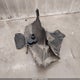 1FMCU9H66MUA93907 2021 Ford Escape Sel auction photo thumbnail 11