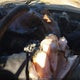1FTZR45E75PA92571 2005 Ford Ranger auction photo thumbnail 7
