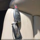 WDCTG4GBXJJ415534 2018 Mercedes-Benz Gla 250 4Matic auction photo thumbnail 11