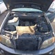 5UXFA53582LV72672 2002 BMW X5 3.0I auction photo thumbnail 10