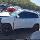 1C4PJMDS5HW602058 2017 Jeep Cherokee Limited 4X4 auction photo thumbnail 15