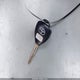 4T4BE46K09R098531 2009 Toyota Camry Le auction photo thumbnail 11