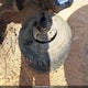 4TAWM72N6VZ269957 1997 Toyota Tacoma auction photo thumbnail 11