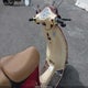 L5YTCKPA6G1160976 2016 Znen Znen auction photo thumbnail 5