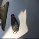 1C4RJFAG7CC280554 2012 Jeep Grand Cherokee Laredo auction photo thumbnail 11