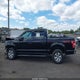 1FTEW1E46LKD04562 2020 Ford F-150 Xlt auction photo thumbnail 14