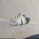 5NPD84LF3KH410654 2019 Hyundai Elantra Sel auction photo thumbnail 12
