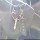 1C3CDFAA7GD592323 2016 Dodge Dart Se auction photo thumbnail 11