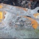 3D7KU26683G725405 2003 Dodge Ram 2500 Slt/Laramie/St auction photo thumbnail 9