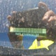 1N4BL4DV4RN381788 2024 Nissan Altima Sv Fwd auction photo thumbnail 17