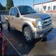 1FTFX1EF5DFC68263 2013 Ford F-150 Xlt auction photo thumbnail 1