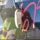 3N1AB8CV8MY265994 2021 Nissan Sentra Sv Xtronic Cvt auction photo thumbnail 11