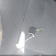 1D4HB38N86F116585 2006 Dodge Durango Sxt auction photo thumbnail 11