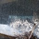 2GNALCEK4G6196072 2016 Chevrolet Equinox Lt auction photo thumbnail 9