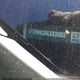 1FTBW9C89LKB35063 2020 Ford Transit-350 auction photo thumbnail 17