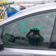 JTDACAAU6P3009555 2023 Toyota Prius Xle auction photo thumbnail 18