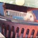 1GNEK13Z34R122635 2004 Chevrolet Tahoe Lt auction photo thumbnail 9