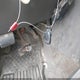 2GCEK13T261131746 2006 Chevrolet Silverado 1500 Lt2 auction photo thumbnail 11