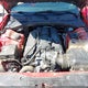 2C3CDXGJ0MH622709 2021 Dodge Charger Scat Pack Widebody Rwd auction photo thumbnail 10
