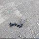 5N3AA08CX4N807606 2004 Infiniti Qx56 auction photo thumbnail 12