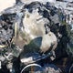 SALGS2PF0GA299971 2016 Land Rover Range Rover 3.0L V6 Supercharged Hse auction photo thumbnail 7