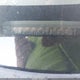 1HGCG1658WA064941 1998 Honda Accord Ex V6 auction photo thumbnail 9